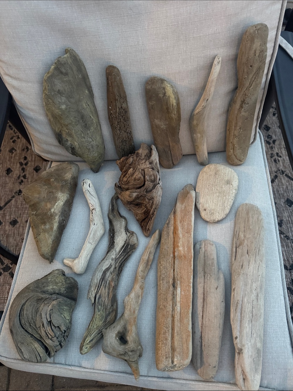 Natural Pacific Northwest Collected Beach Driftwood Decorative Accents 15 pcs - Picture 6 of 12